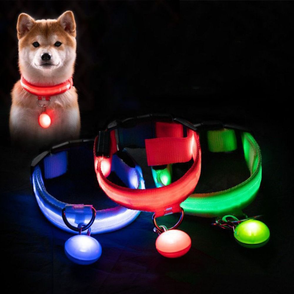 Usb Charging Glowing Dog Colla - đánh giá và giá Tech Dog Accessories