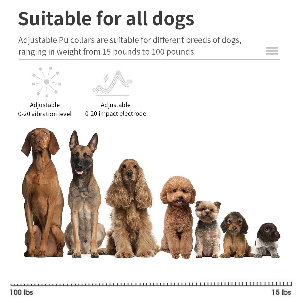 Anti Bark Dog Collar Electric  - đánh giá và giá Tech Dog Accessories