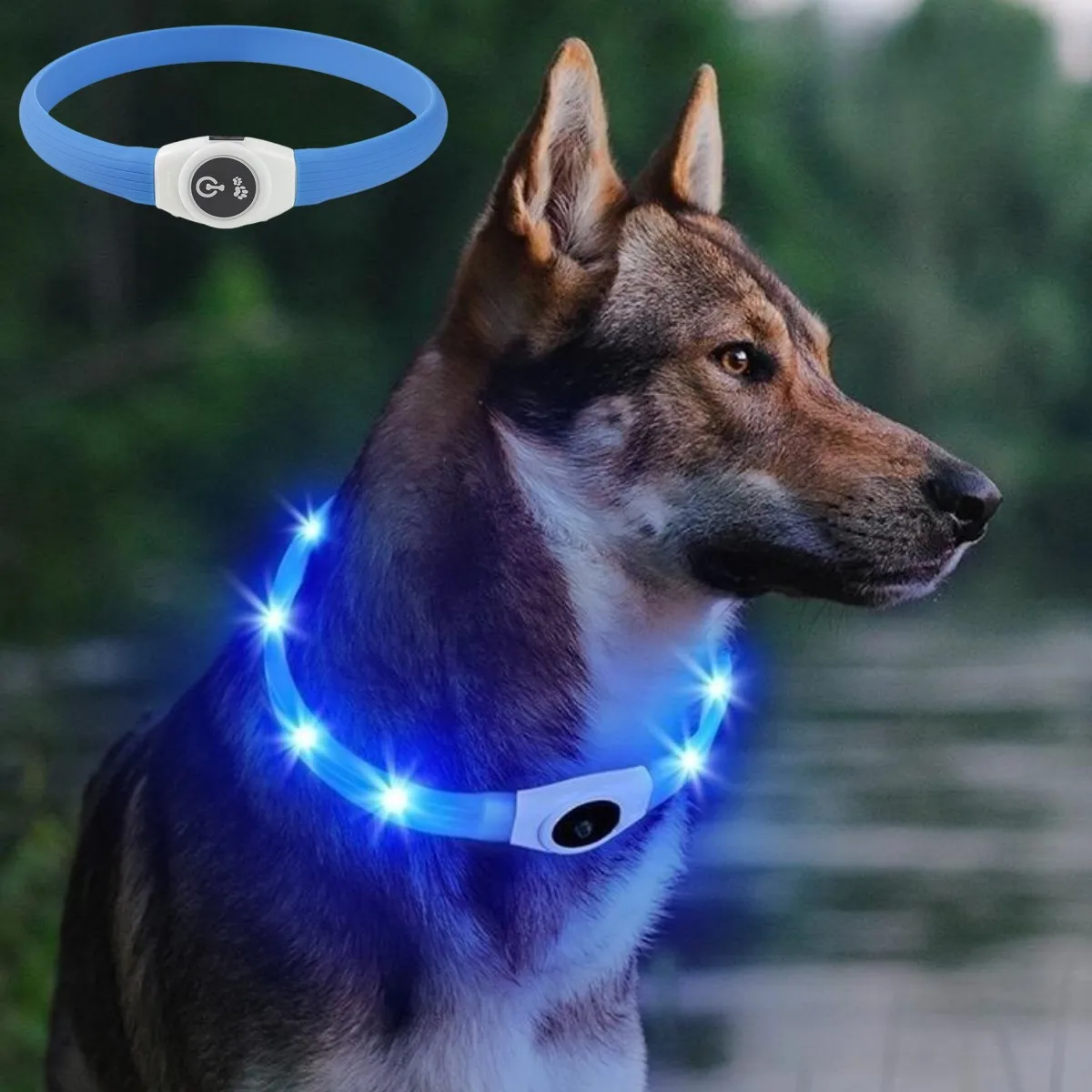 New Led Luminous Dog Collar PV - đánh giá và giá Tech Dog Accessories